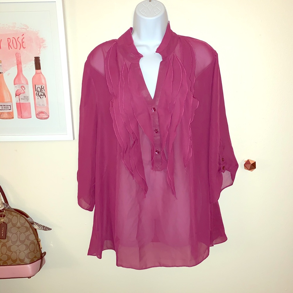 Lane Bryant Sheer Ruffle Blouse